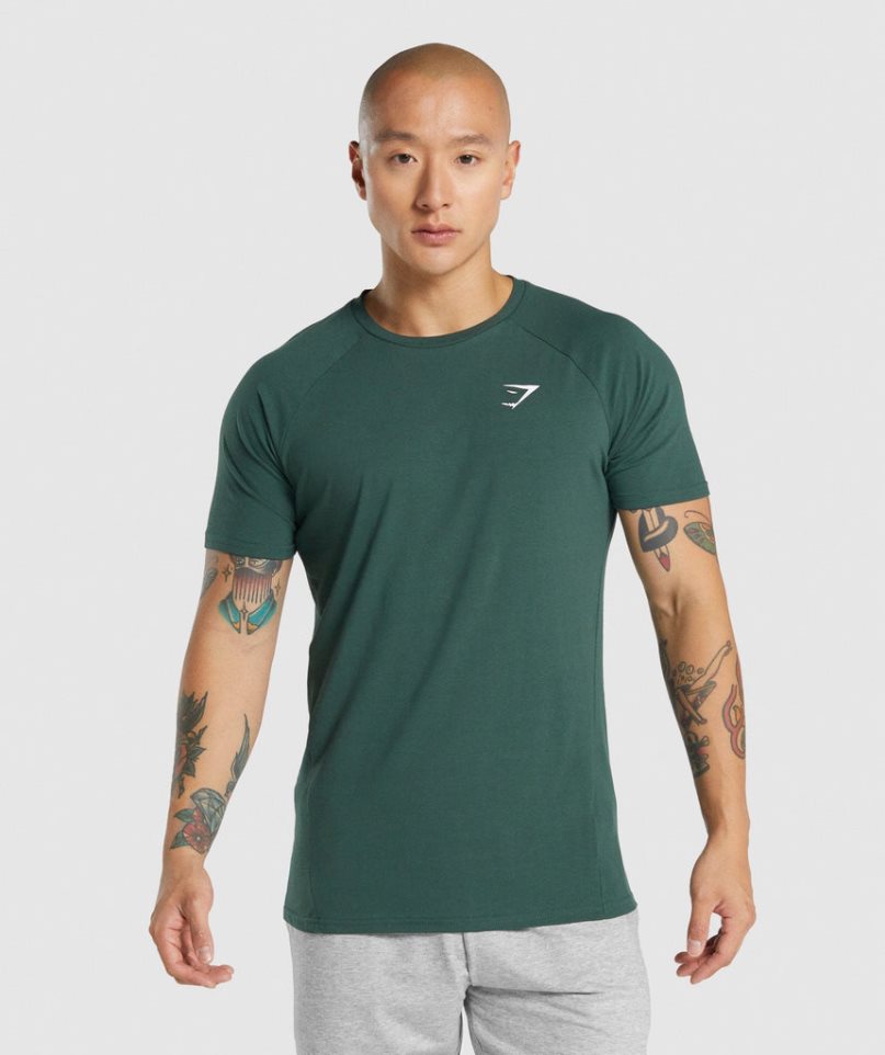 Men\'s Gymshark Critical 2.0 T-Shirts Dark Green | CA D81NA7